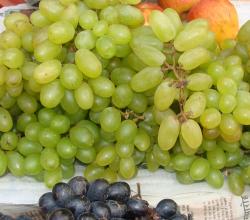 Health Effects Of Eating Rotten Grapes